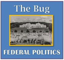 dinkus FEDERAL POLITICS