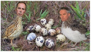 birds dutton cormann