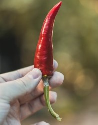 photo-1533470642566-424c84d832e4