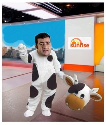 sam cash cow