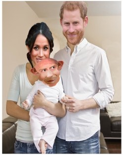 royalbabycopl