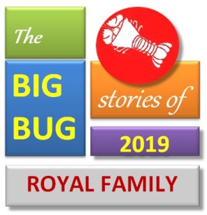 2019stories royals