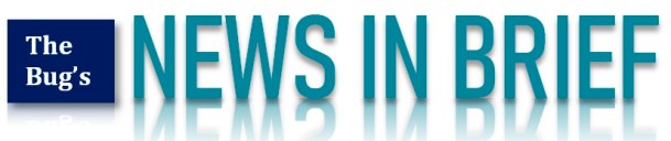 anews in brief dinkus