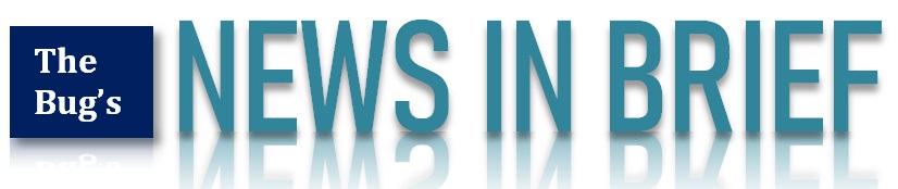 anews in brief dinkus