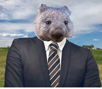 mccormack as wombat - net