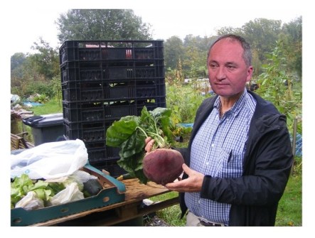 barnaby beetroot