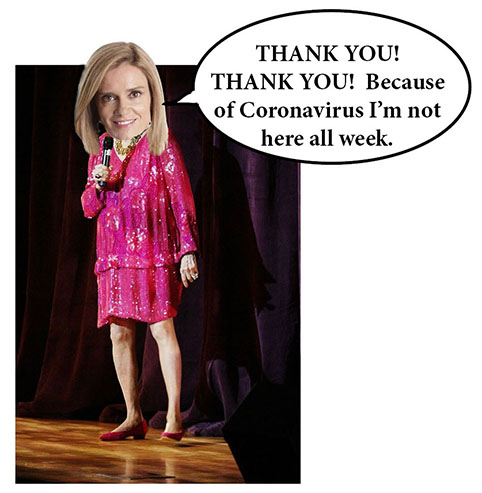 julia baird panels 16- net