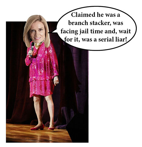 julia baird panels 6- net