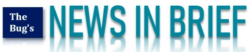 anews in brief dinkus