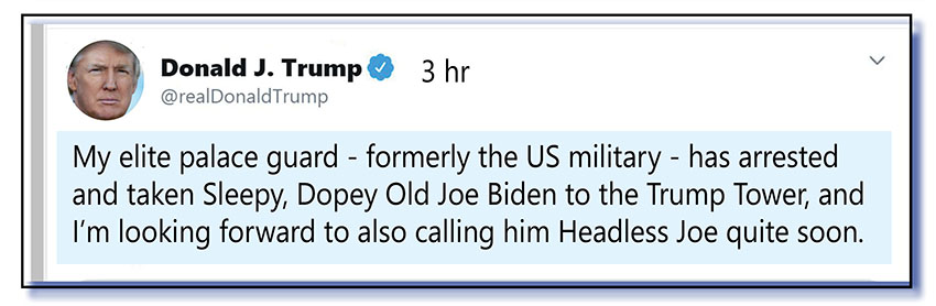 trump tweet panel 5 - net