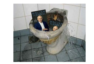 turnbull-book-in-crapper-net