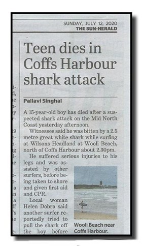 shark attack - net