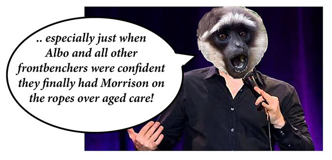 joel fitzgibbon comedian panel 12b - net