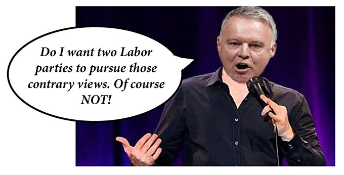 joel fitzgibbon comedian panel 5 - net