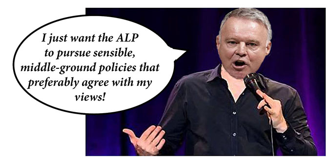 joel fitzgibbon comedian panel 6 - net