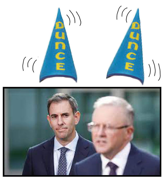 Dunce Bug If the cap fits? – The Bug Online