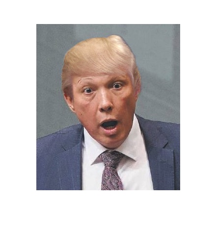 Dutton Trump Dutton adds to confusion – The Bug Online