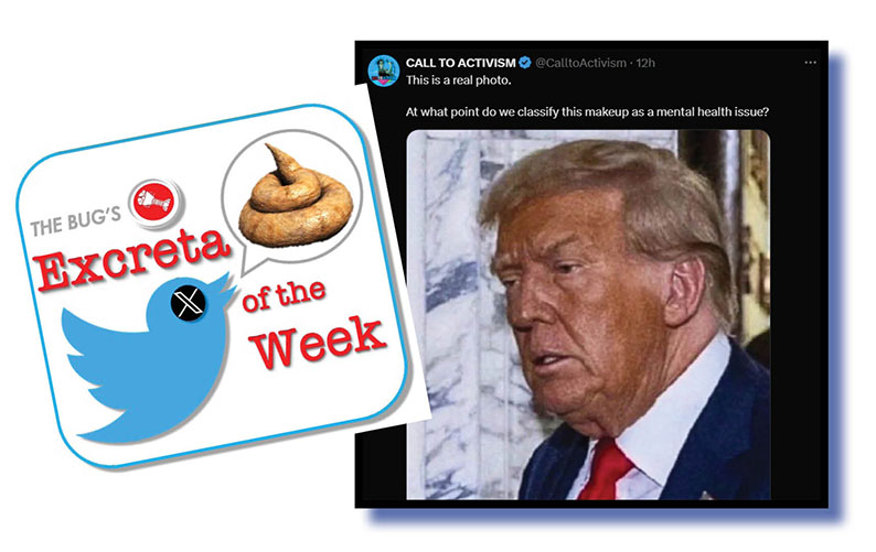 Trumpedus Is US democracy about to be trumped? – The Bug Online